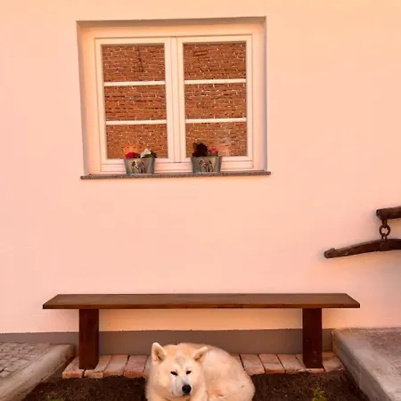 Ferienhaus Stadthaus Usedom *